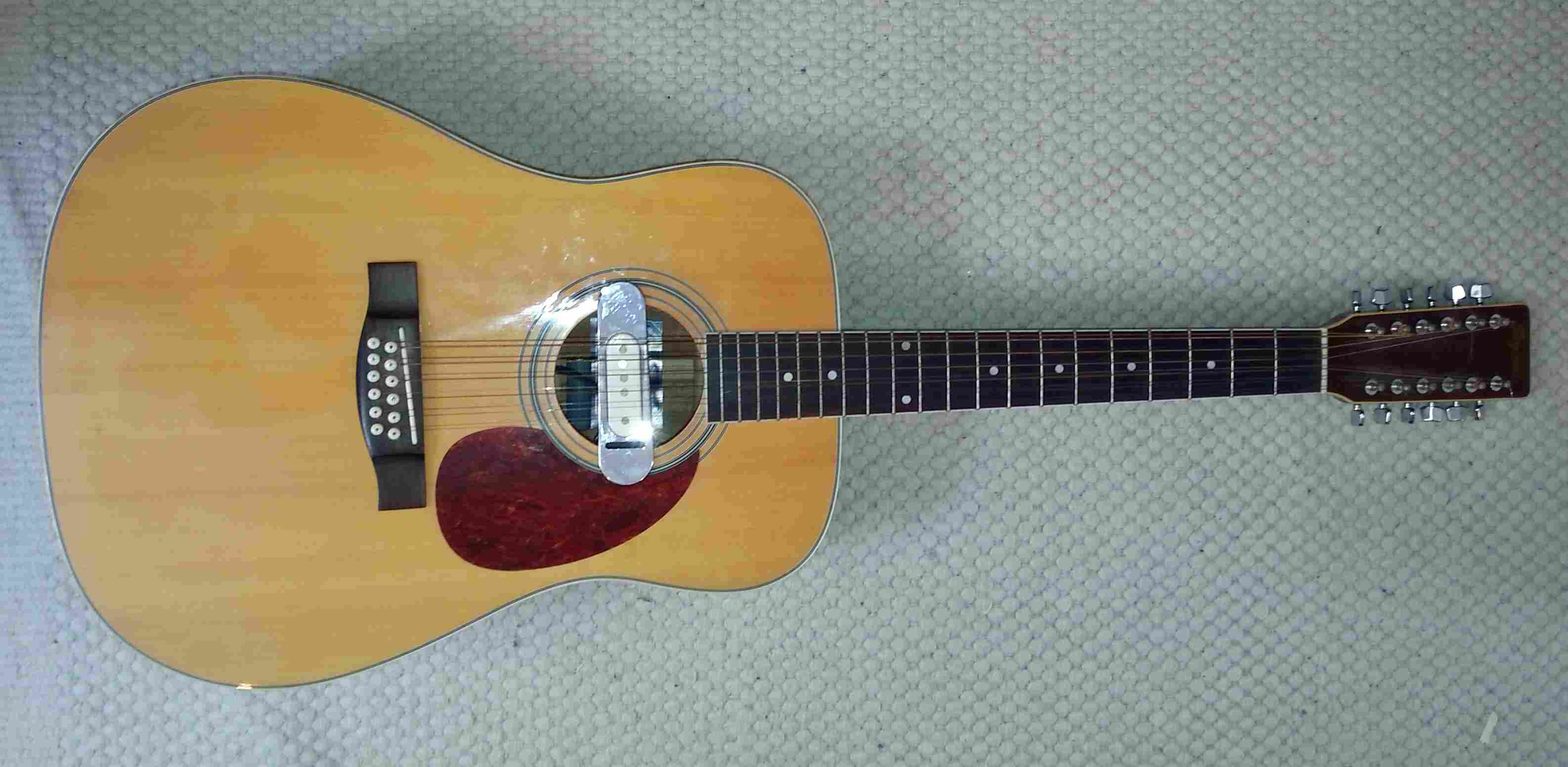 Segovia acoustic 12-string