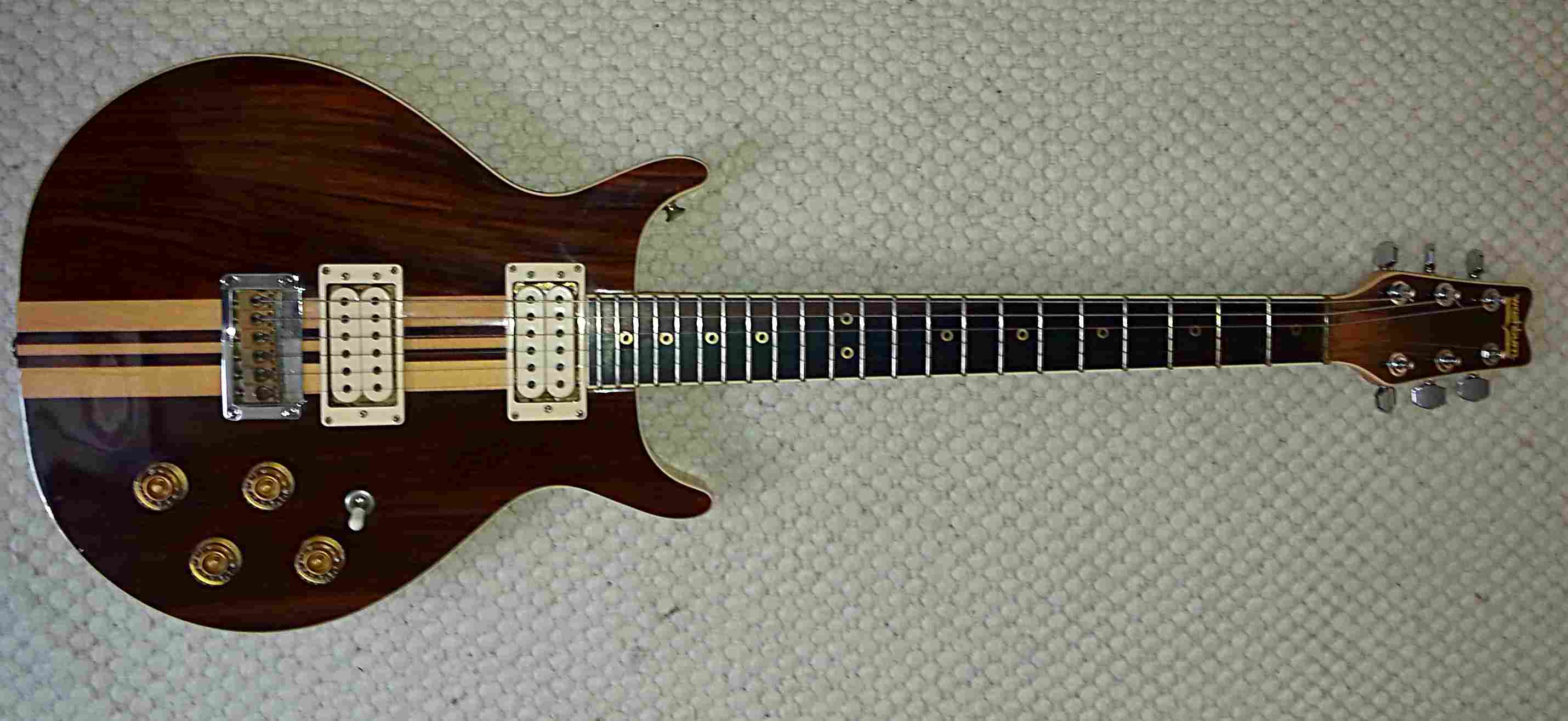 Washburn Falcon